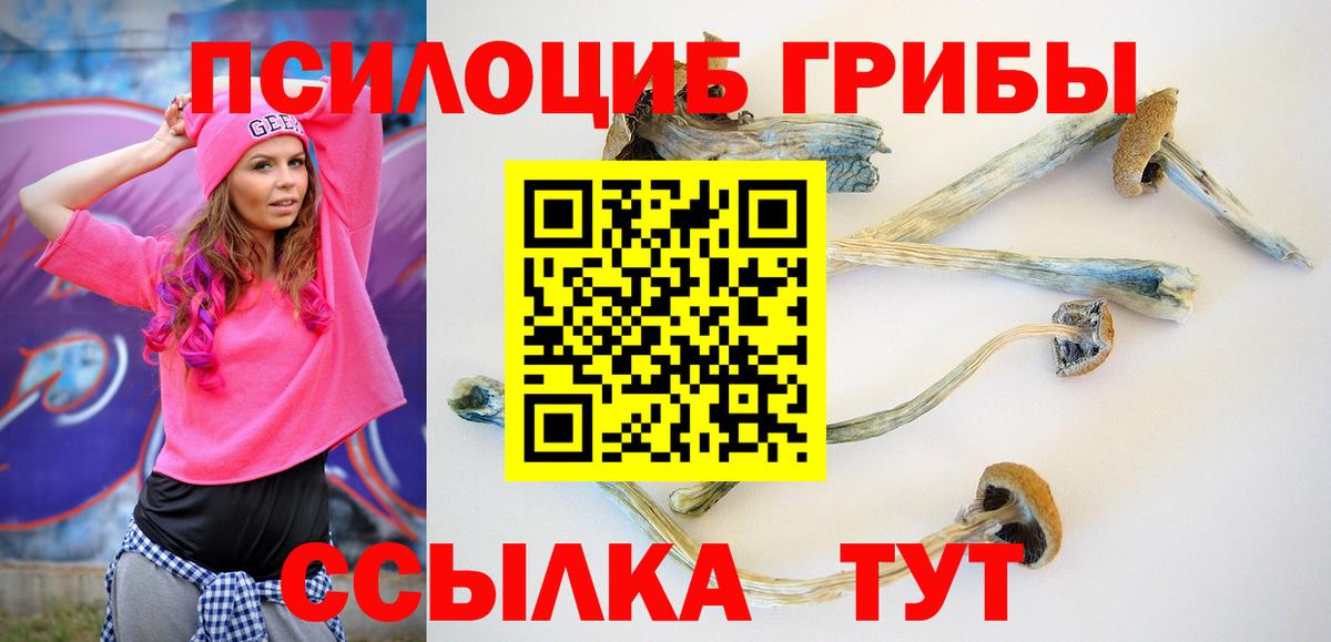 Галлюциногенные грибы ЛСД Фрязино